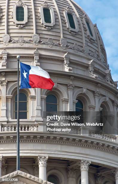 capitol dome - texas flag stock pictures, royalty-free photos & images