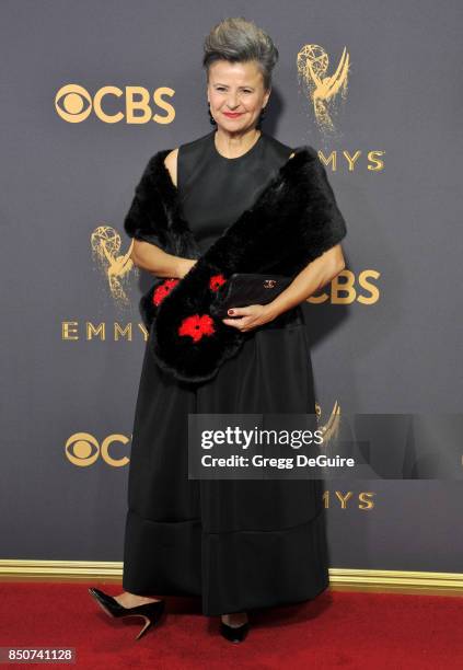 Tracey Ullman arrives at the 69th Annual Primetime Emmy Awards at Microsoft Theater on September 17, 2017 in Los Angeles, California.