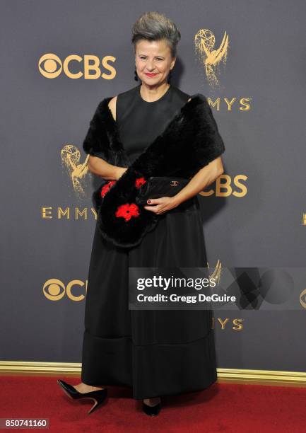 Tracey Ullman arrives at the 69th Annual Primetime Emmy Awards at Microsoft Theater on September 17, 2017 in Los Angeles, California.