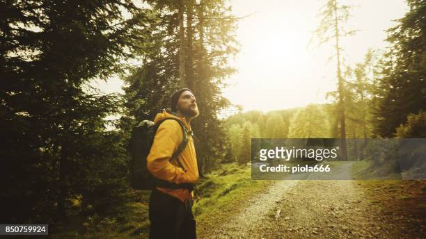 uomo che escursioni ed esplora l'area forestale - winter sport foto e immagini stock