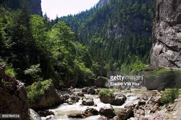 River in Bicaz Gorge, Cheile Bicazului Hasmas, Southern Moldavia, Romania.
