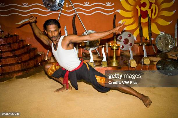 Kalarippayattu martial arts performer in attacking pose, Kerala Kalari Centre, Kumily, Kerala, India.