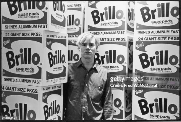 American pop artist Andy Warhol stands amid his towering Brillo box sculptures in the Stable Gallery , New York, New York, April 21, 1964.