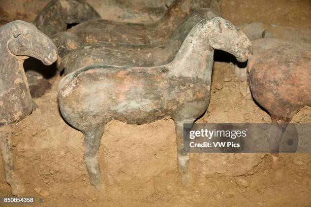 Excavated terracotta exhibits, Han Yang Ling Museum, Zhangjiawan, near Xi'an, Shaanxi Province, China.