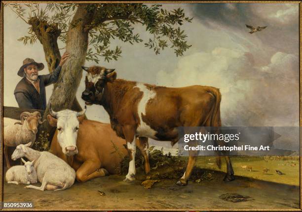 Potter Paulus , The Young Bull 1647 , La Haye. Mauritshuis.