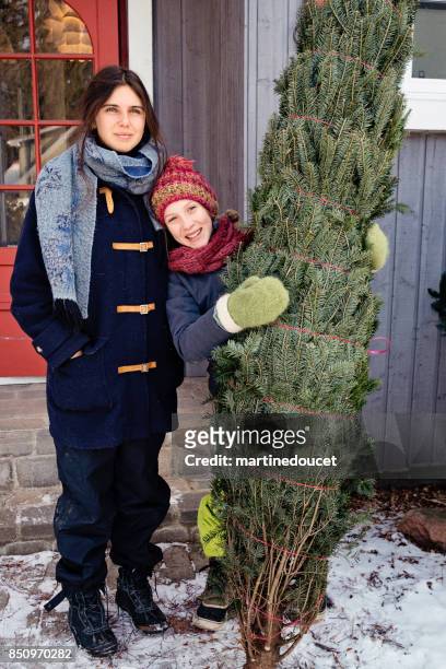 two sisters with freshly cut christmas tree in front of house outdoors. - 12 17 months stock pictures, royalty-free photos & images