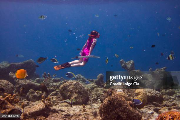 little girl diving in a coral reef - scuba diving girl stock pictures, royalty-free photos & images