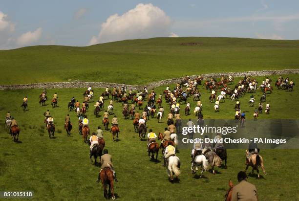 Border Riding 308 Common Riding Festivals On The Scottish Borders Stock Photos, High ...
