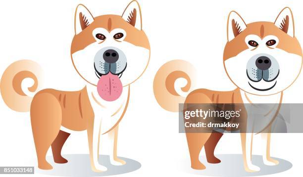 31点の秋田犬イラスト素材 Getty Images 31点の秋田犬イラスト素材 Getty Images