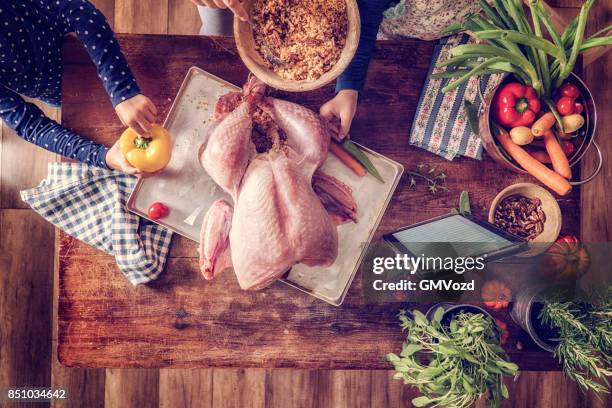 preparing stuffed turkey for holidays - stuffed stock pictures, royalty-free photos & images