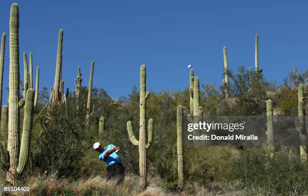 Tiger Woods tees off the 12th hole en route to his 3 & 2 victory over Brendan Jones during the first round of the Accenture Match Play Championships...