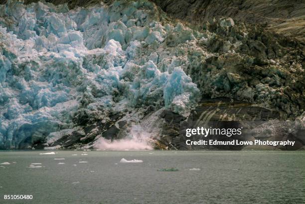 calving ice on the leconte glacier. - petersburg alaska stock pictures, royalty-free photos & images