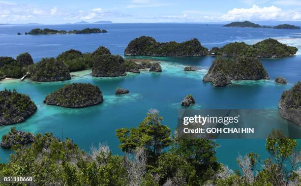 This photo taken on August 21, 2017 shows the blue sea around Raja Ampat -- which means Four Kings in Indonesian, in Indonesia's far eastern Papua. -...