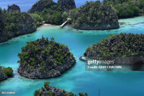 This photo taken on August 21, 2017 shows the blue waters in Raja Ampat -- which means Four Kings in Indonesian, in Indonesia's far eastern Papua. -...