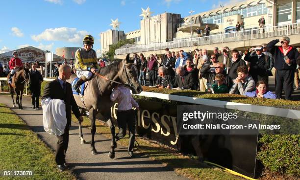 Tom Queally rides Tickled Pink in the parade ring before the The Ballyogan Stakes during the Bulmers Live at Leopardstown Raceday at Leopardstown...