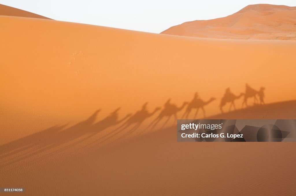 Shadows of a camel caravan across the Sahara Desert