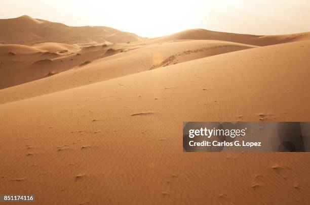 view of the sahara desert as the sun sets - sandsun stock-fotos und bilder