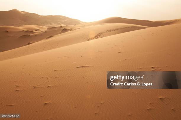 view of the sahara desert as the sun sets - désert du sahara photos et images de collection