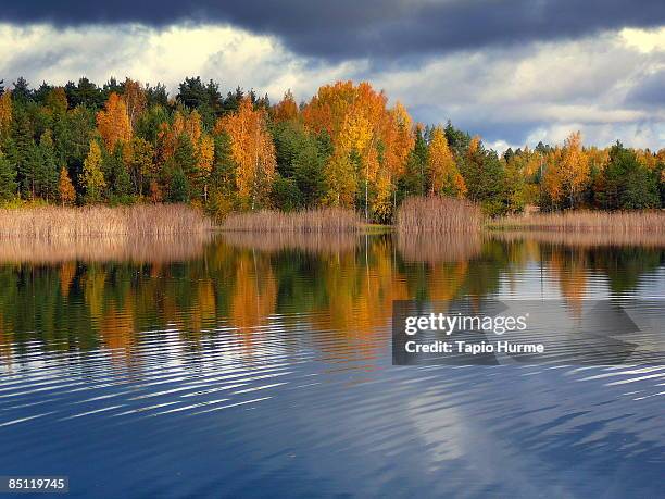 autumn harmony - autumn finland stock pictures, royalty-free photos & images