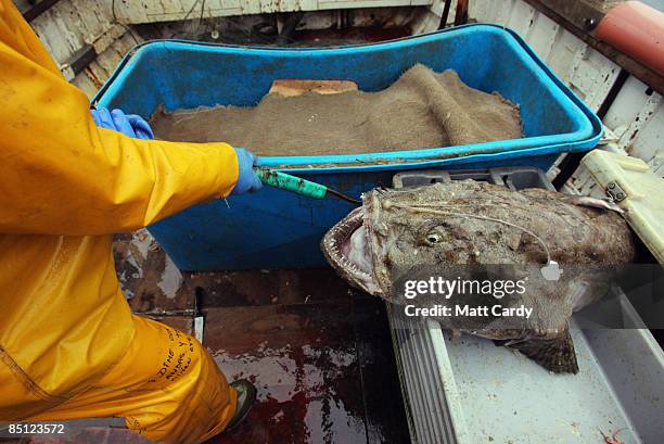 Morio Rios 277 Mario Rios Photos & High Res Pictures - Getty Images