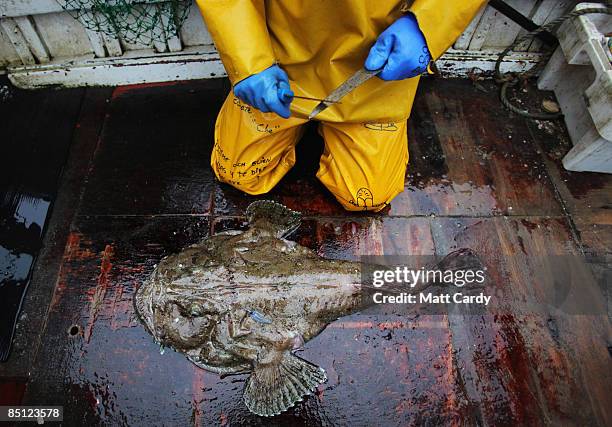 Morio Rios 277 Mario Rios Photos & High Res Pictures - Getty Images