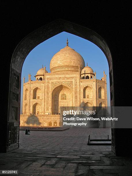 taj mahal - dave wilson webartz stock pictures, royalty-free photos & images