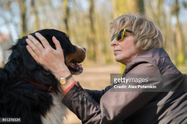 de volwassen, 50-jaar-oud, aantrekkelijke vrouw omarmen de berner sennenhond - 50 54 years stockfoto's en -beelden