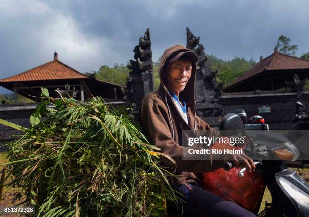 Farmer on the morning of the 20th in front of the Pura Pasar Agung temple complex high up on the slopes of Mt Agung, a popular staging point for...