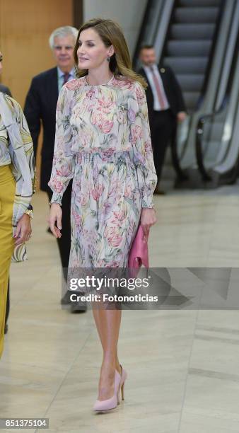 Queen Letizia of Spain attends the 'Cancer Research World Day' event at El Prado Museum on September 22, 2017 in Madrid, Spain.