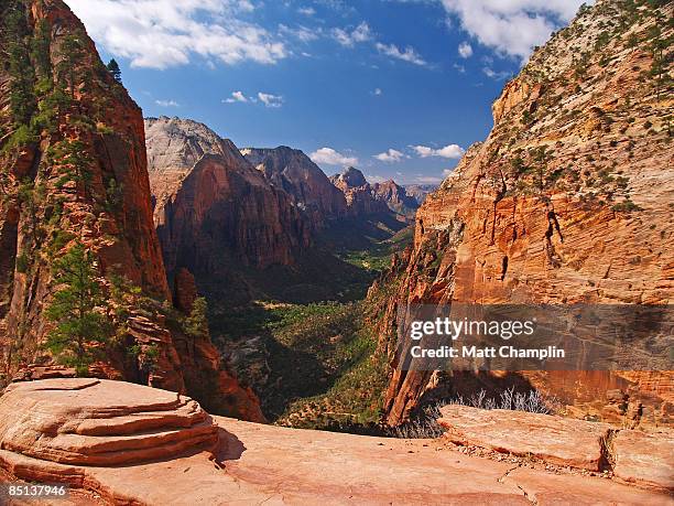 where angels land - zion national park stock pictures, royalty-free photos & images