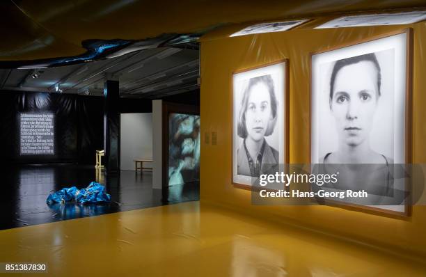 View during the 'I am a Problem' exhibition opening at MMK 2 on September 22, 2017 in Frankfurt am Main, Germany. The exhibition is staged by Ersann...