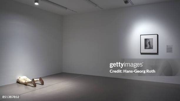 View during the 'I am a Problem' exhibition opening at MMK 2 on September 22, 2017 in Frankfurt am Main, Germany. The exhibition is staged by Ersann...