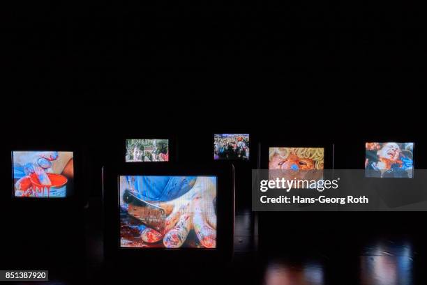 View during the 'I am a Problem' exhibition opening at MMK 2 on September 22, 2017 in Frankfurt am Main, Germany. The exhibition is staged by Ersann...