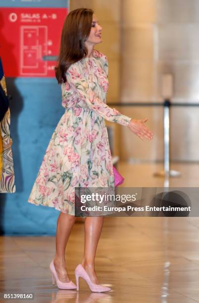 Queen Letizia of Spain presides AECC event on research on Cancer International Day at Prado Museum on September 22, 2017 in Madrid, Spain.