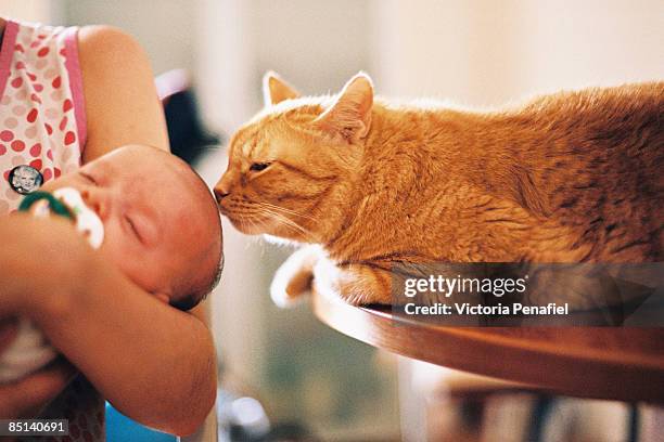 Cat kisses sleeping child