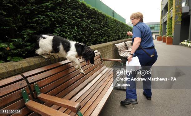 Poppy, a Springer Spaniel, and handler Constable Pearce search for lost tennis balls around Wimbledon prior to the start of day four of the Wimbledon...