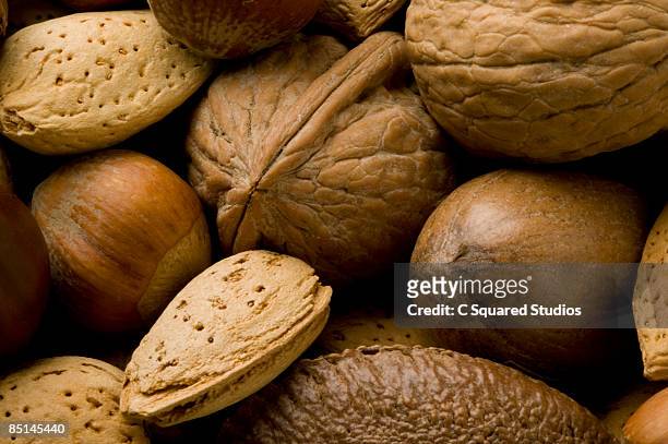 mixed nuts - brazil nut stock pictures, royalty-free photos & images