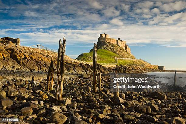 lindisfarne castle - northumberland foto e immagini stock