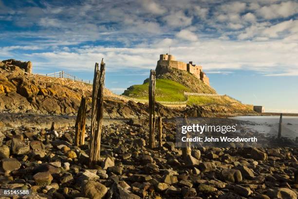 lindisfarne castle - northumberland stock pictures, royalty-free photos & images