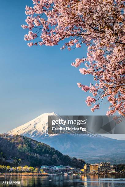 fuji mountain and sakura at kawaguchiko lake - japan stock-fotos und bilder