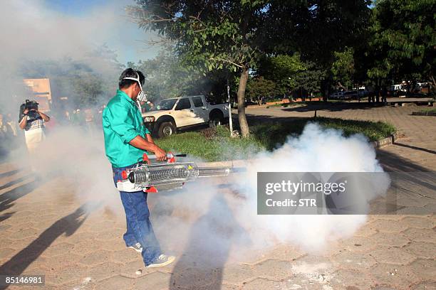 Municipal worker fumigates along a street against mosquitos, vectors of the dengue fever, in Santa Cruz, eastern Bolivia, on February 27, 2009. In...