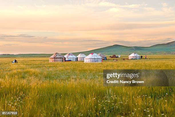 yurts in grasslands at sunset in inner mongolia ch - rundzelt stock-fotos und bilder