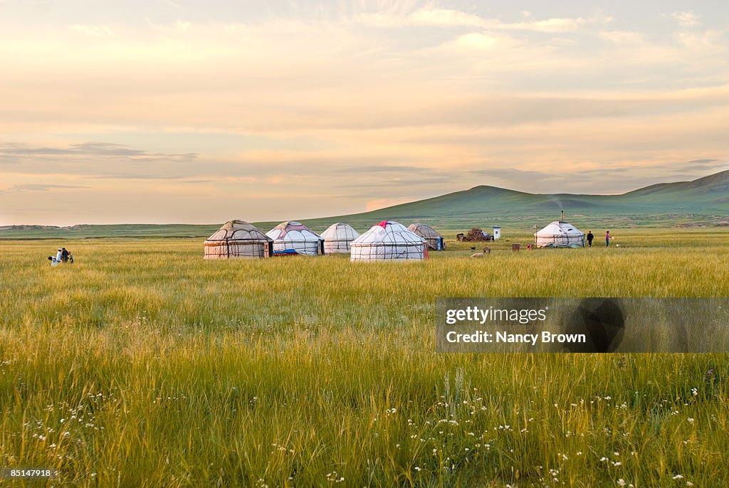 Yurts in Grasslands at sunset in Inner Mongolia Ch