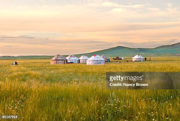 yurts in grasslands at sunset in inner mongolia ch - mongolian culture stock pictures, royalty-free photos & images