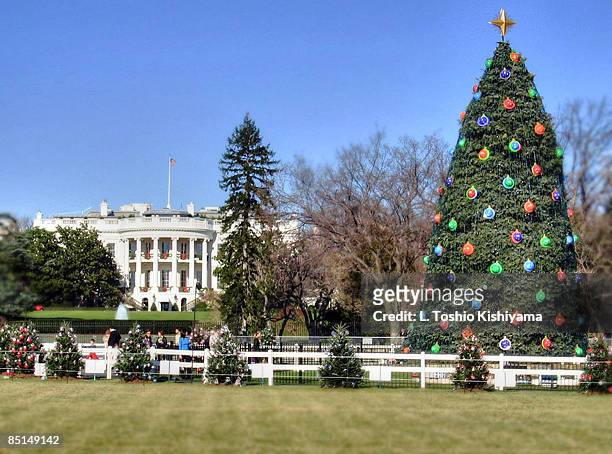 christmas lights at the white house - white house christmas stock pictures, royalty-free photos & images