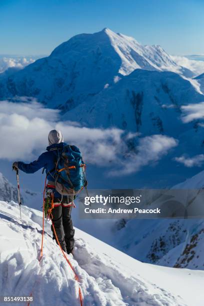 a climber looks across to mount foraker. - フォーレイカー山 ストックフォトと画像