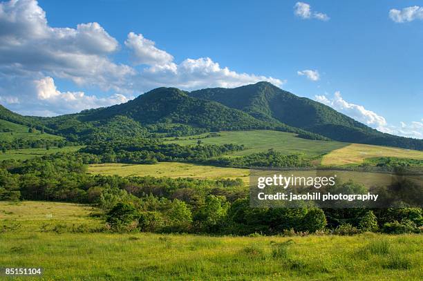 taishirotai plains - landelement stockfoto's en -beelden