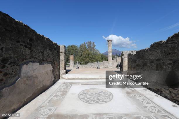 Mosaic in the sailors's house, one of the new environments restored in the archaeological excavations of Pompeii. Behind the Vesuvius volcano.