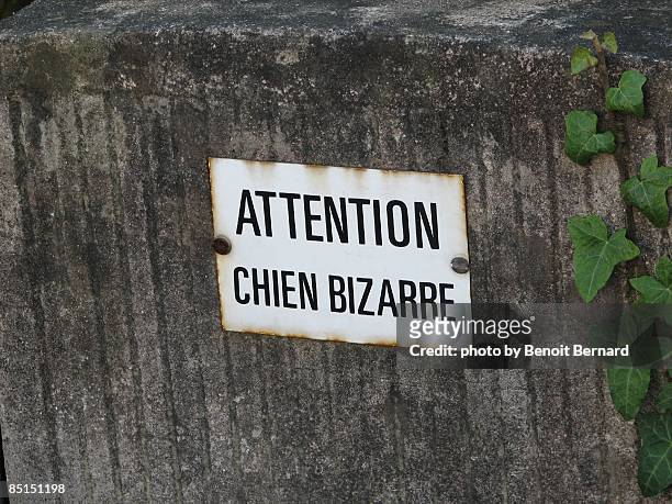 warning sign (in french) - beware of dog stock-fotos und bilder