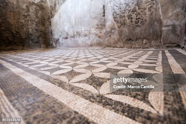 The mosaic floor inside the Championnet complex, one of the new environments restored in the archaeological excavations of Pompeii.